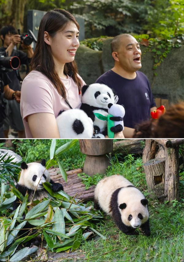 当”蝶后“雨霏遇见熊猫”花花“
