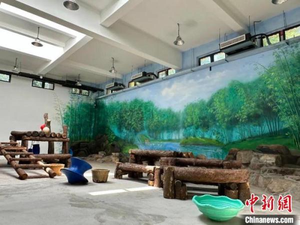 杭州动物园大熊猫馆通过验收 时隔三年将迎新大熊猫
