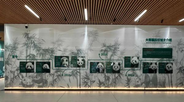 确定!马上来杭州! 确定!马上来杭州!