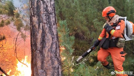 内蒙古大兴安岭发生多起森林火灾 各方正积极扑救 内蒙古大兴安岭发生多起森林火灾 各方正积极扑救
