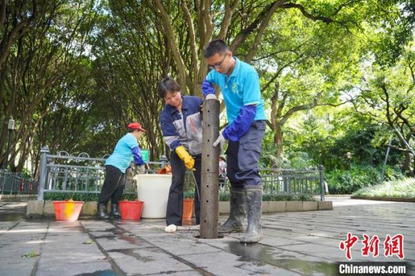 探访广西工业城市古树群落 跨越百年时空缘何苍翠如故？