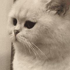 孩子爱玩游戏？建议每个家长都看看！