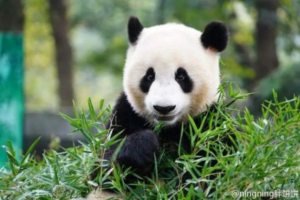 确定!马上来杭州! 确定!马上来杭州!