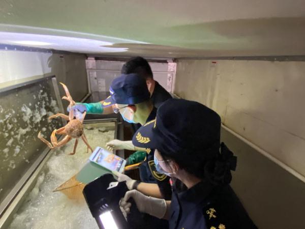 【我在国门一线】珲春海关：守国门助企业 全方位助力边境贸易高质量发展