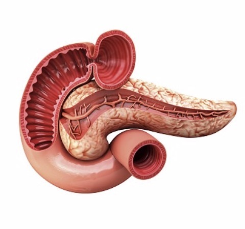 29岁男子一天吃四顿体重达200斤，突发腹痛恶心就医被确诊为急性重症胰腺炎