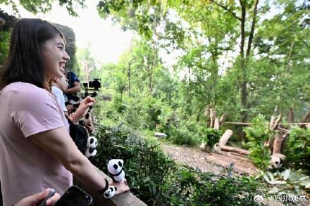 梦幻联动!张雨霏如愿见到熊猫花花 梦幻联动!张雨霏如愿见到熊猫花花