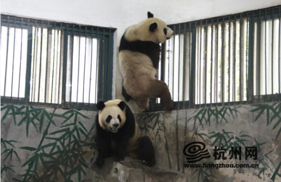 确定!马上来杭州! 确定!马上来杭州!