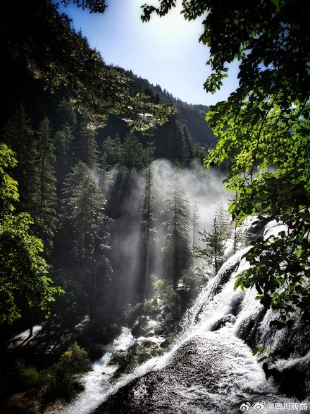 外国游客被九寨沟美到哇声一片