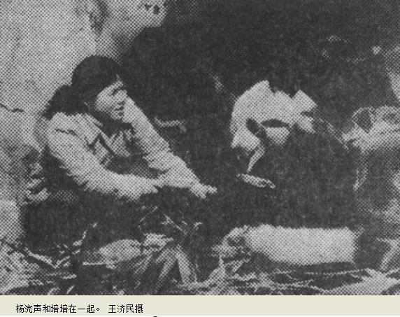 春生,香果!杭州动物园即将上新一对“滚滚”,“行李”正在打包中 春生,香果!杭州动物园即将上新一对“滚滚”,“行李”正在打包中