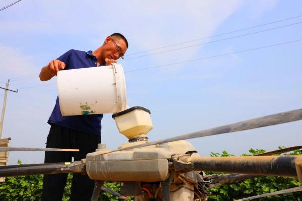 河北南宫：加强棉花田间管理 助力棉农丰产丰收