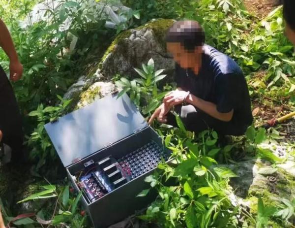 消失的黑熊！重庆巫溪警方全链条打击一起危害珍贵濒危野生动物案