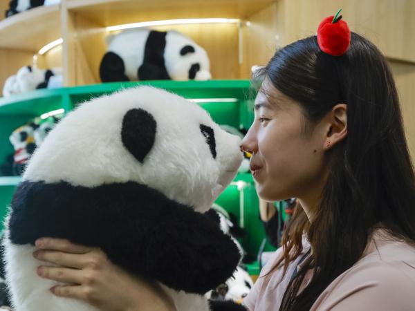 当”蝶后“雨霏遇见熊猫”花花“