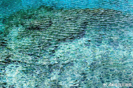 外国游客被九寨沟美到哇声一片