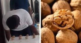 一小时用头“磕”碎273个核桃，印度男子创吉尼斯新纪录