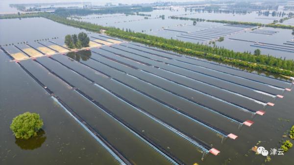 东淀蓄滞洪区内第六埠村，最新航拍画面