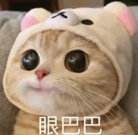 余额不足？“暑假才过一半，我咋办呀……”