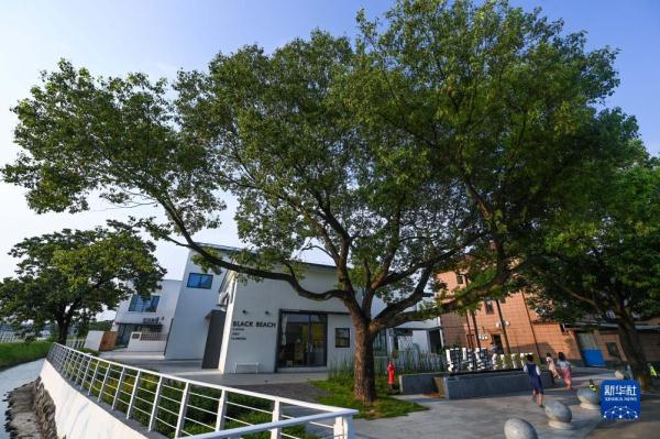 浙江宁波：深入实施“千万工程” 打造宜居宜业和美乡村