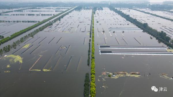 东淀蓄滞洪区内第六埠村，最新航拍画面
