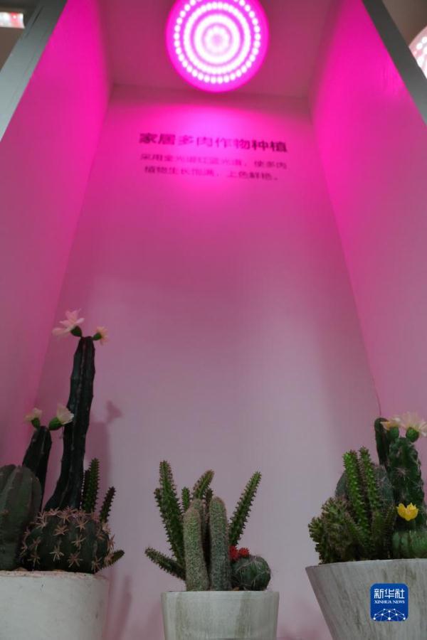 走进佛山照明 走进佛山照明