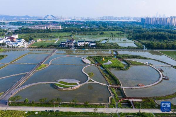 浙江宁波：深入实施“千万工程” 打造宜居宜业和美乡村