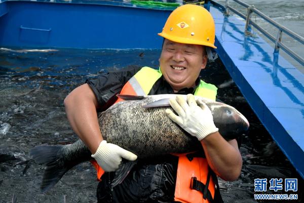 河南嵩县：鱼跃人欢庆丰收
