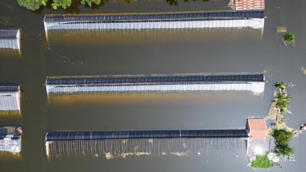 东淀蓄滞洪区内第六埠村，最新航拍画面