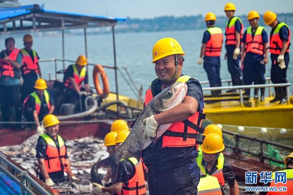 河南嵩县：鱼跃人欢庆丰收