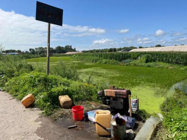 五常米农：我们害怕暴雨洪水，更害怕绝收谣言