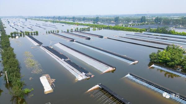 东淀蓄滞洪区内第六埠村，最新航拍画面