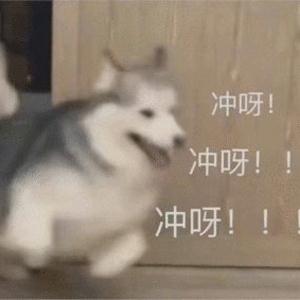 余额不足？“暑假才过一半，我咋办呀……”