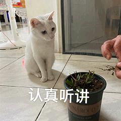 余额不足？“暑假才过一半，我咋办呀……”