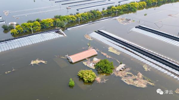 东淀蓄滞洪区内第六埠村，最新航拍画面