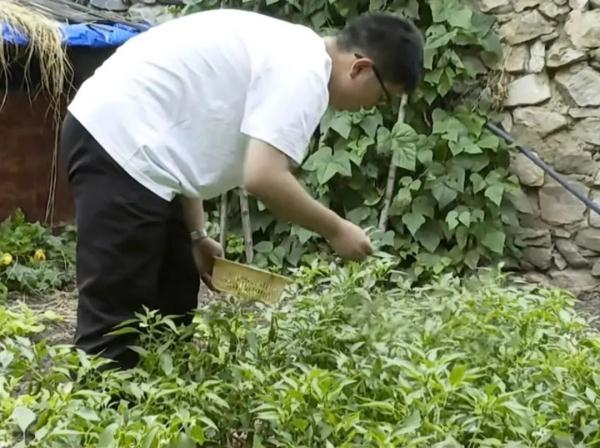 “这是我今年收到最好的消息!”一大波录取通知书正在派送,来沾喜气! “这是我今年收到最好的消息!”一大波录取通知书正在派送,来沾喜气!