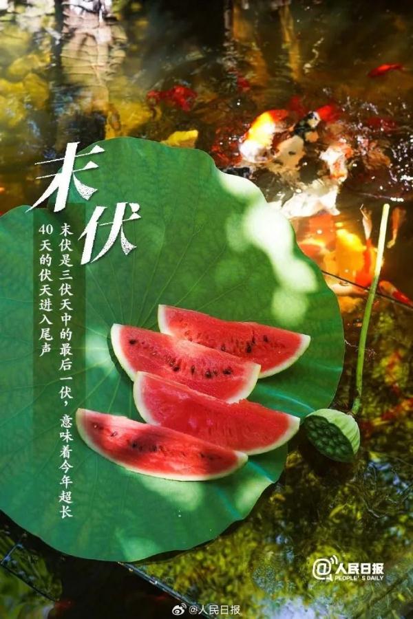 今天，正式进入末伏！