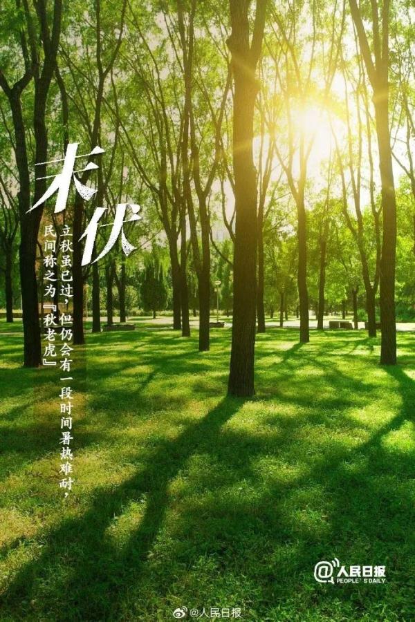 今天，正式进入末伏！