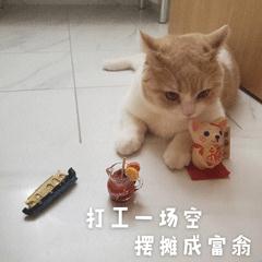 余额不足？“暑假才过一半，我咋办呀……”