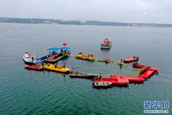 河南嵩县：鱼跃人欢庆丰收