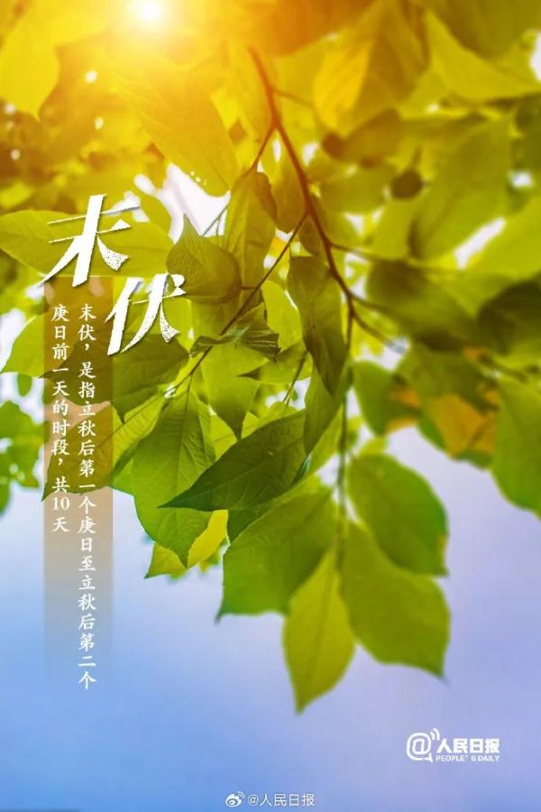 今天，正式进入末伏！