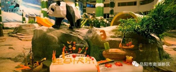 独享冰蛋糕！大熊猫“愿愿”在湖南岳阳开3岁生日派对