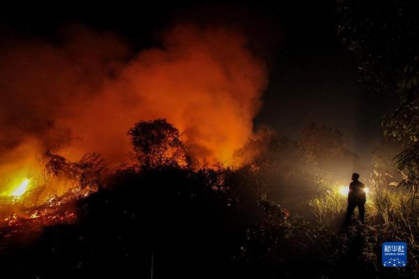 印尼:厄尔尼诺引野火 印尼:厄尔尼诺引野火
