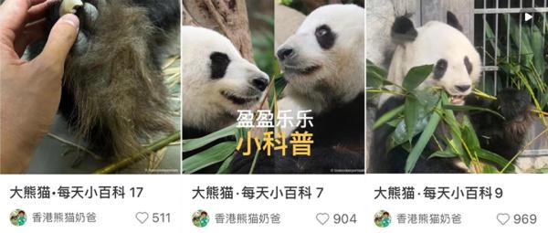 香港“奶爸”的熊猫餐“卷”出新花样! 香港“奶爸”的熊猫餐“卷”出新花样!