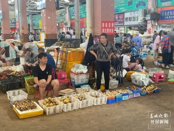 数量大增，价格大降！实现“菌子自由”太快乐了！