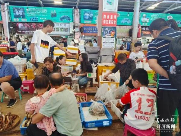 数量大增，价格大降！实现“菌子自由”太快乐了！