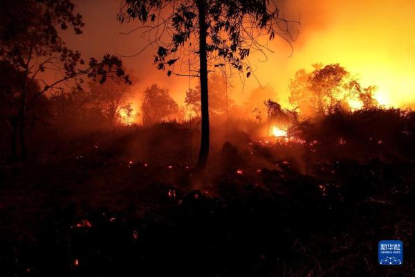 印尼:厄尔尼诺引野火 印尼:厄尔尼诺引野火