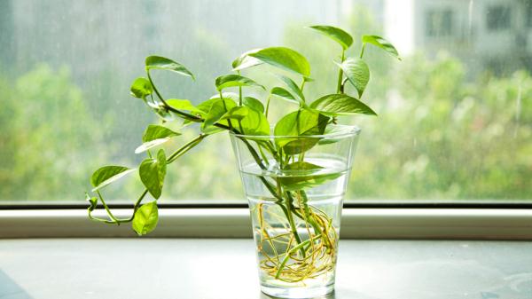 男孩点4盘蚊香门窗紧闭睡觉中毒 一文了解如何防蚊安全又有效→ 男孩点4盘蚊香门窗紧闭睡觉中毒 一文了解如何防蚊安全又有效→