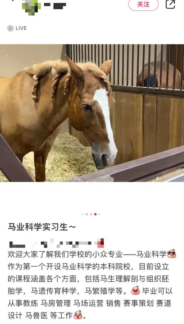 “听说你是种星星的人？让我看看你的课表！”