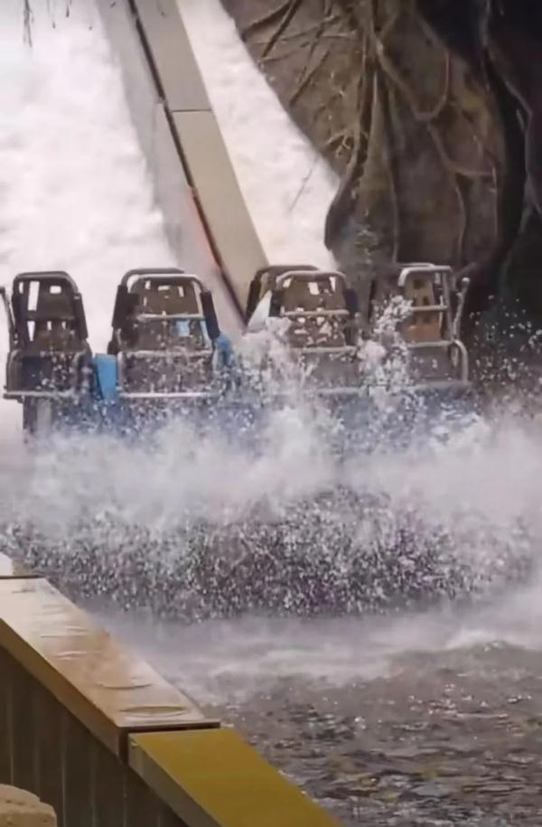 雷鸣山漂流有小孩跳船？项目紧急关停找孩子？上海迪士尼回应→