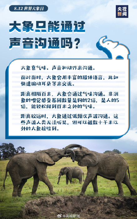 转起倡议！希望更多人了解大象保护大象