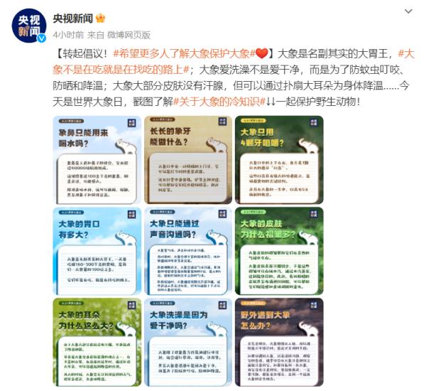 今天是世界大象日，了解关于大象的冷知识