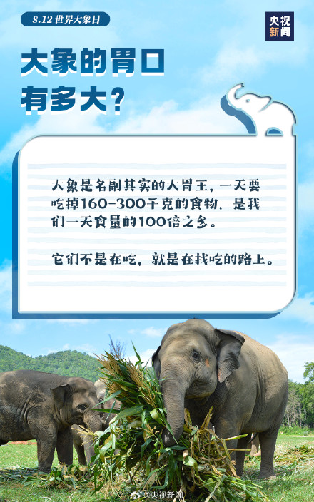 转起倡议！希望更多人了解大象保护大象